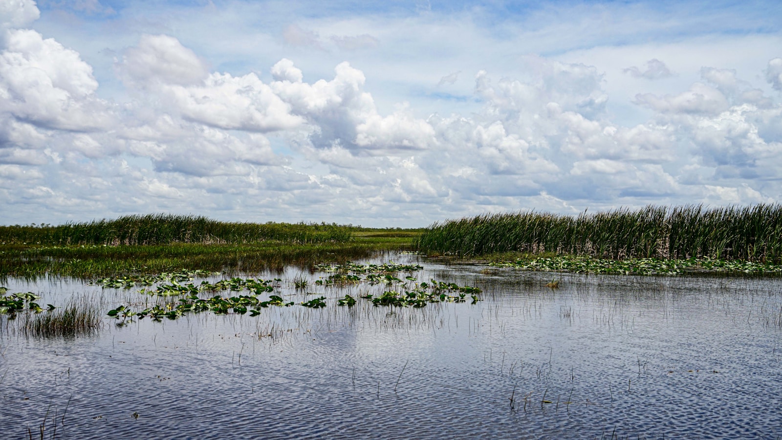 Miami Everglades Airboat Roundtrip Transfer & Free Watertaxi